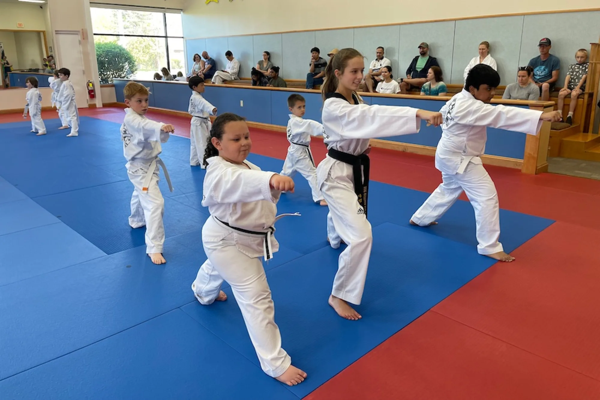 Kids Martial Arts